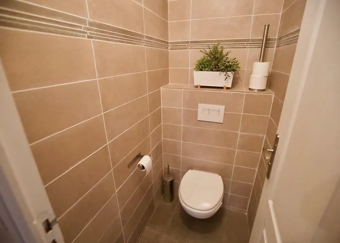 Promenade Sur Les Toits *